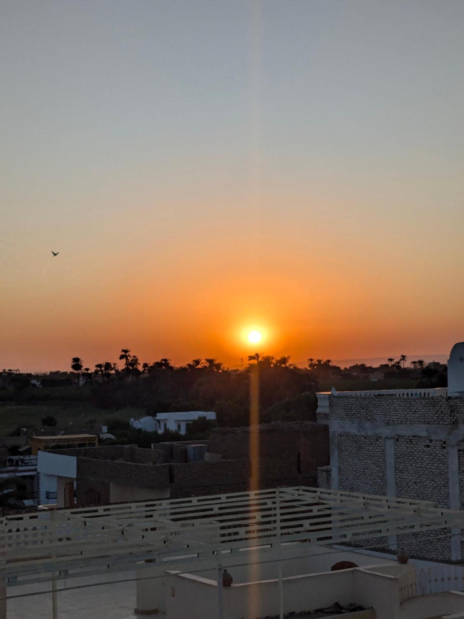 Al Ramla Guest House Louxor Extérieur photo